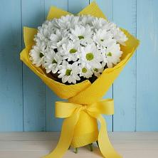 Букет цветов из:  Хризантемы в Шамхале