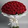 Букет 101 Красная роза Блэк Мэджик в Шамхале