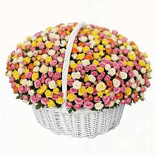 Премиум букет из: Розы в Шамхале