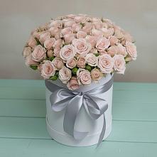 Цветочная композиция из Розы в шляпной коробке #REPLACE_PRED# Шамхале