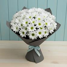 Букет цветов из:  Хризантемы в Шамхале