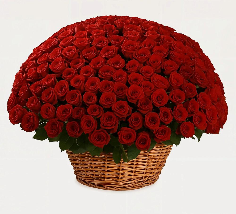 Премиум букет из: Розы в Шамхале