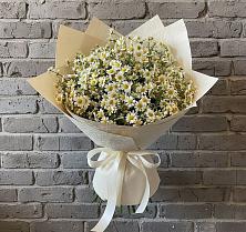 Букет цветов из:  Ромашки в Шамхале
