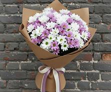 Букет цветов из:  Хризантемы в Шамхале