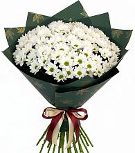 Букет цветов из:  Хризантемы в Шамхале