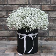 Цветочная композиция из Гипсофила в шляпной коробке в Шамхале