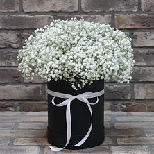 Цветочная композиция из Гипсофила в шляпной коробке в Шамхале
