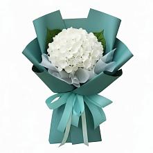 Букет цветов из:  Гортензия в Шамхале